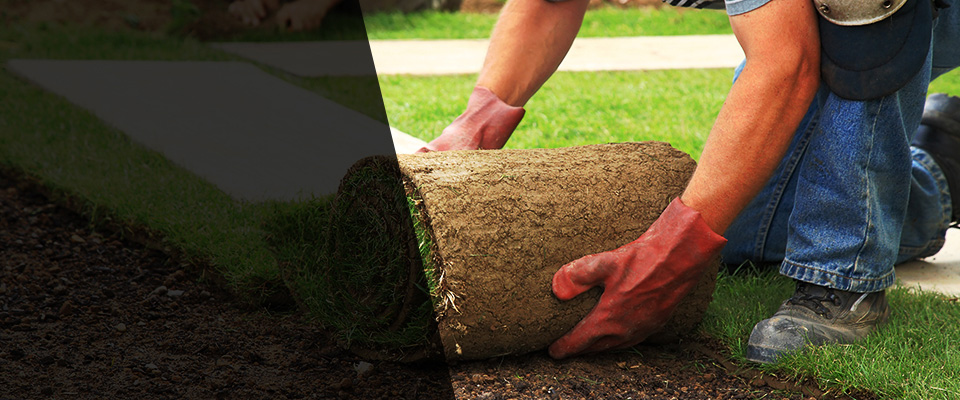 Carencro Landscapers
